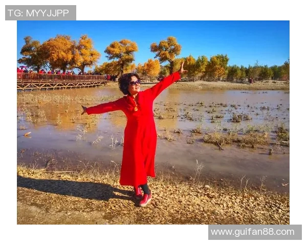 伊蒂哈德足球俱乐部的辉煌历程与未来展望：从历史到梦想的追逐之旅